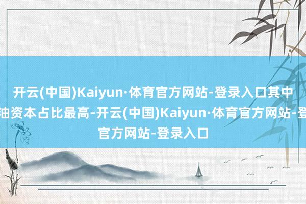 开云(中国)Kaiyun·体育官方网站-登录入口其中至极燃油资本占比最高-开云(中国)Kaiyun·体育官方网站-登录入口